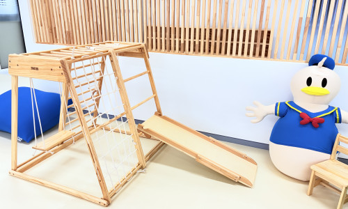 WJA - Play Gym